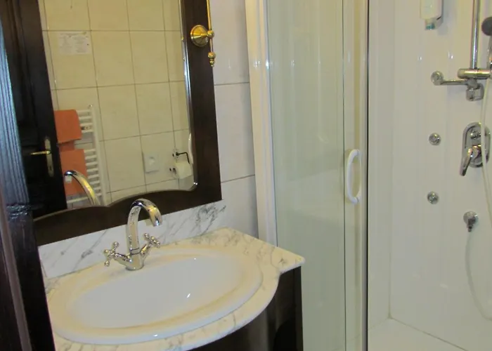 Pensjonat Crni Baron Black Baron 4*