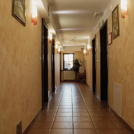 Crni Baron Black Baron Konukevi Maribor