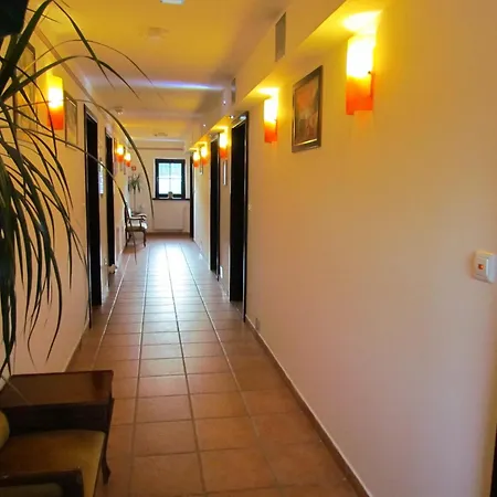 Konukevi Crni Baron Black Baron Maribor