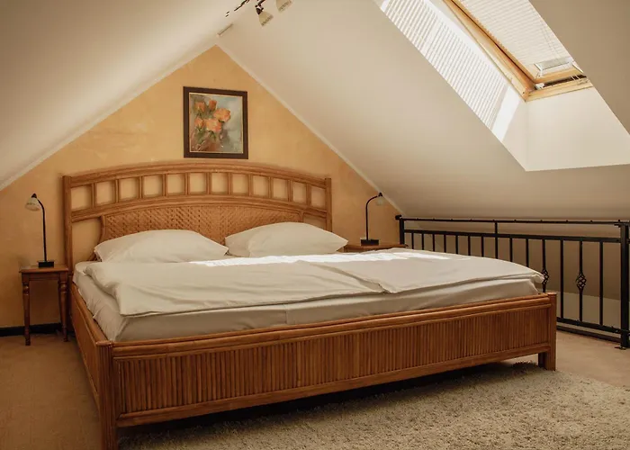 Crni Baron Black Baron 4*