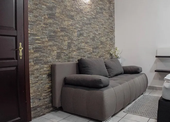 Crni Baron Black Baron Hiša za goste