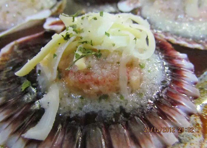 Konukevi Crni Baron Black Baron