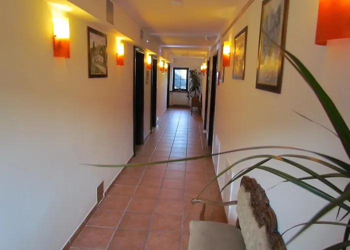 Hiša za goste Crni Baron Black Baron