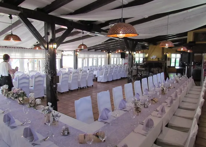 Hiša za goste Crni Baron Black Baron